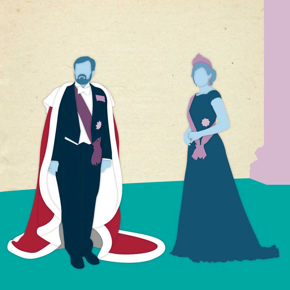 Koning Willem-Alexander en koningin Maxima in pastelkleurig silhouet