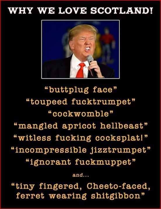 Trump insults 