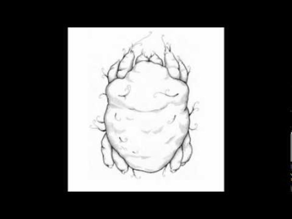 La Gale - Passe Ton Chemin