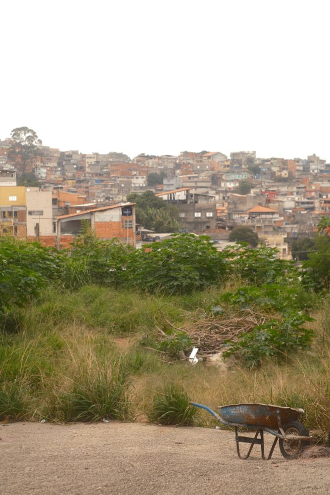 foto de uma favela no morro. é possível ver, em primeiro plano, o asfalto com um carrinho de obra no canto direito. em segundo plano, bastante mato e algumas árvores. ao fundo, a favela da brasilândia e o céu nublado.