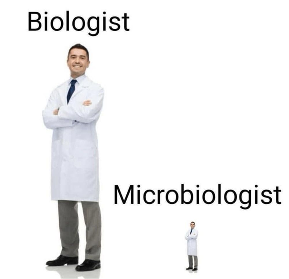 A guy in a white lab coat. The word "biologist" is above his head.

Next to him is a tiny version of himself. The word "microbiologist" is above his head.

It is a pun