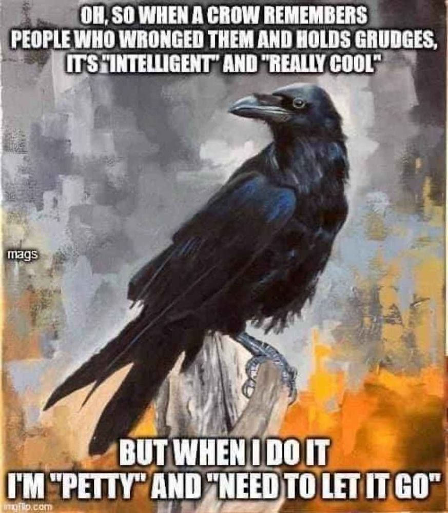Illustration of a black crow on a piece of wood in what looks like a forest fire with the text

Oh, so when crow remembers people who wronged them and holds grudges it's "intelligent" and "really cool"

But when I do it I'm "petty" and "need to let it go"