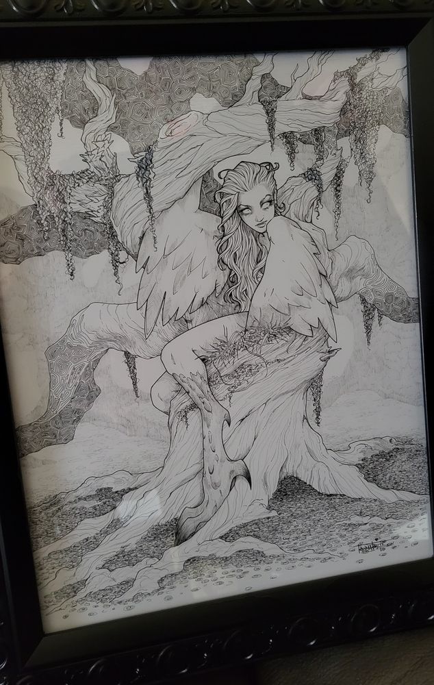 Photo of a framed ink drawing of a harpy