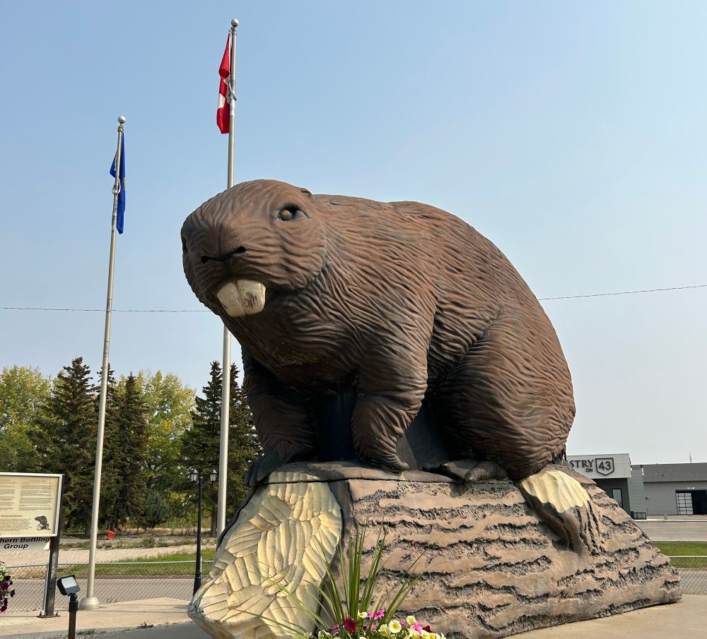 A large statue of a beaver in the community of Beaverlodge, Alberta.