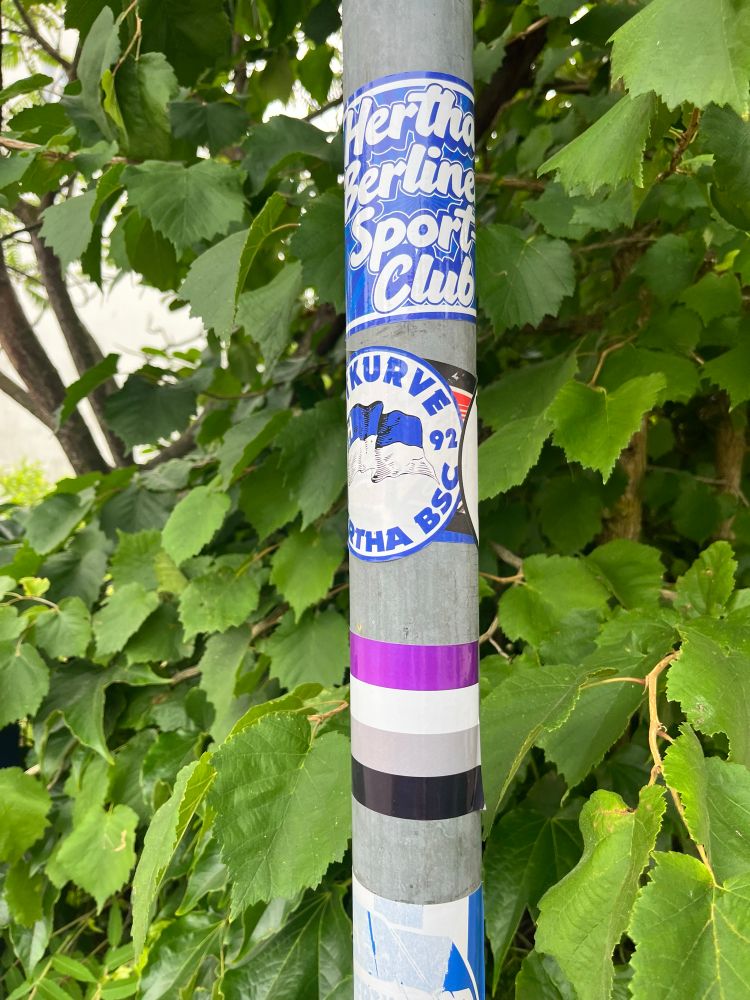 fahnenmast mit aufkleber aus farbigen streifen (violett, weiß, hellgrau-rosa, schwarz) und herta-aufklebern bor grünem busch