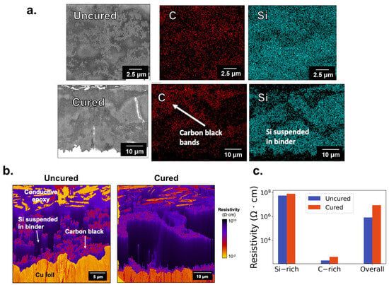 Impacts of Curing-Induced Phase Segregation in Silicon Nanoparticle-Based Electrodes