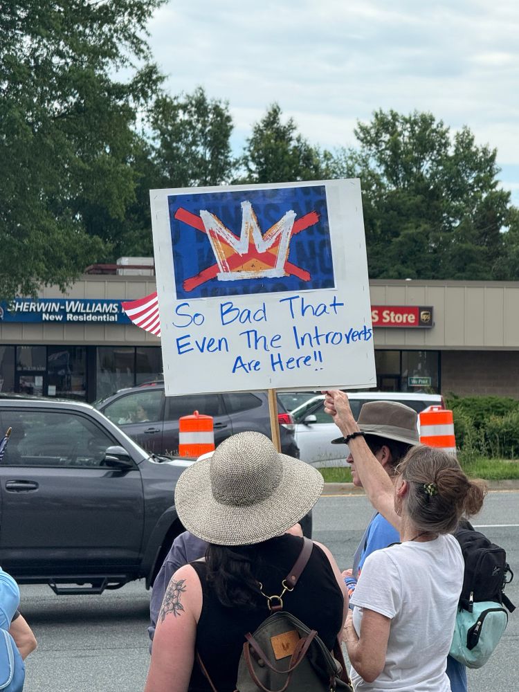 Woman (photographed from the back) holding a No Kings protest sign that says “So bad the even the introverts are here.”