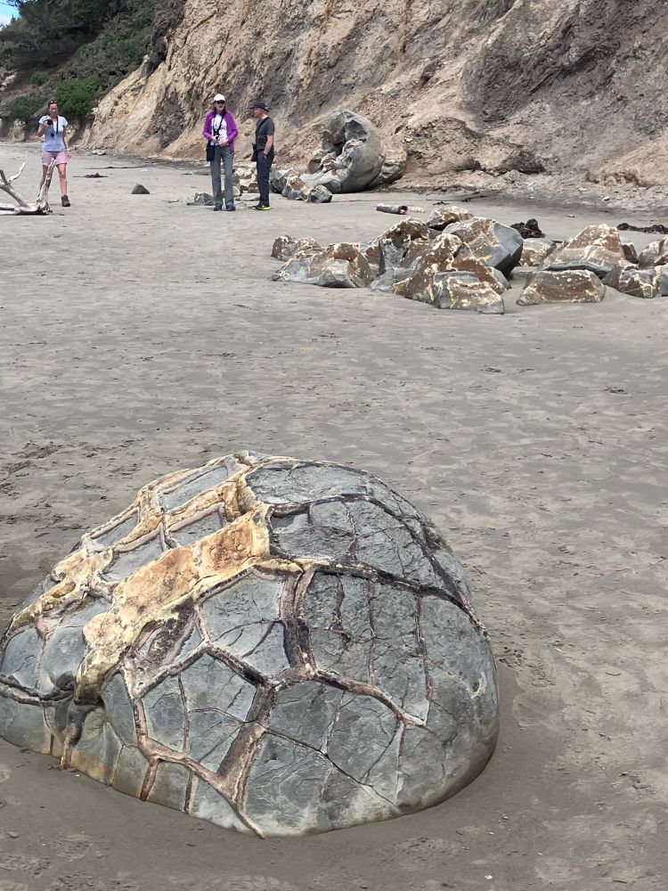 A giant mudstone concretion on a beach, with calcite-filled cracks. Ie a septarian nodule 