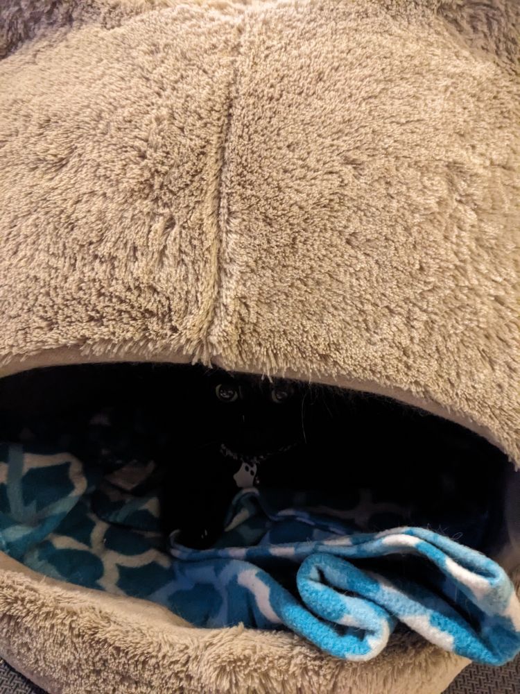 A tiny black cat inside and in the back of a large brown cat head shaped cave bed with a turquoise and white fleece blanket "rearranged" inside and sticking out a bit. The black cat is only visible by her eyes and white reflective ghost shaped ID tag.