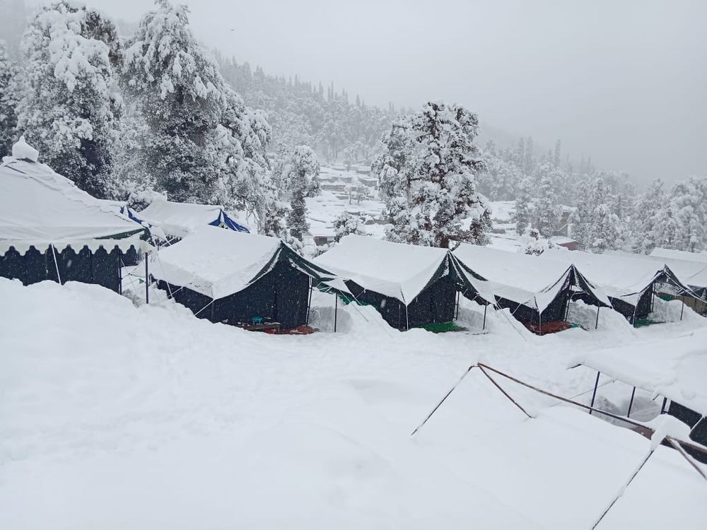 This is Chopta. It is known as Mini Switzerland.