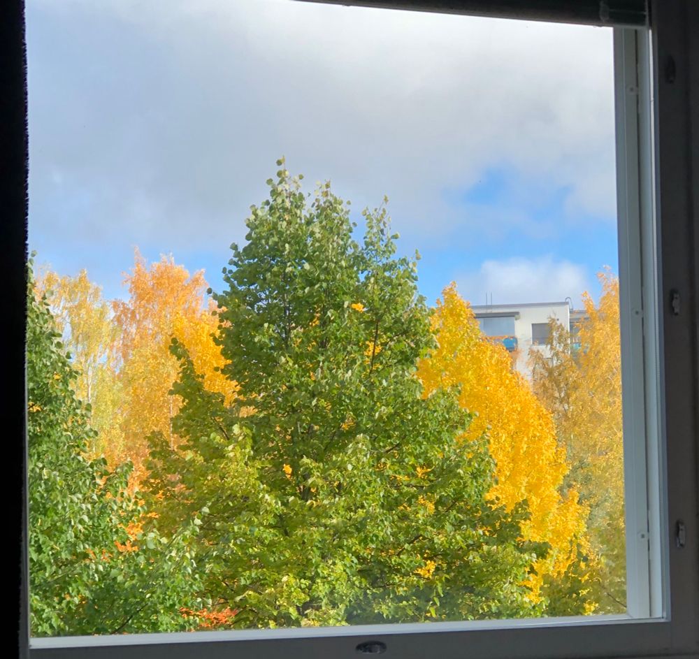Värikkäitä syksyisiä lehtipuita