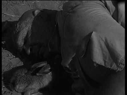 A bunny kisses Tor Johnson at the end of Beast of Yucca Flats. Arguably the best scene in the whole movie.