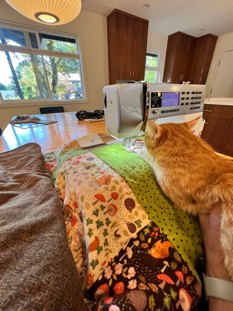 An orange cat “helps” sew a quilt. 
