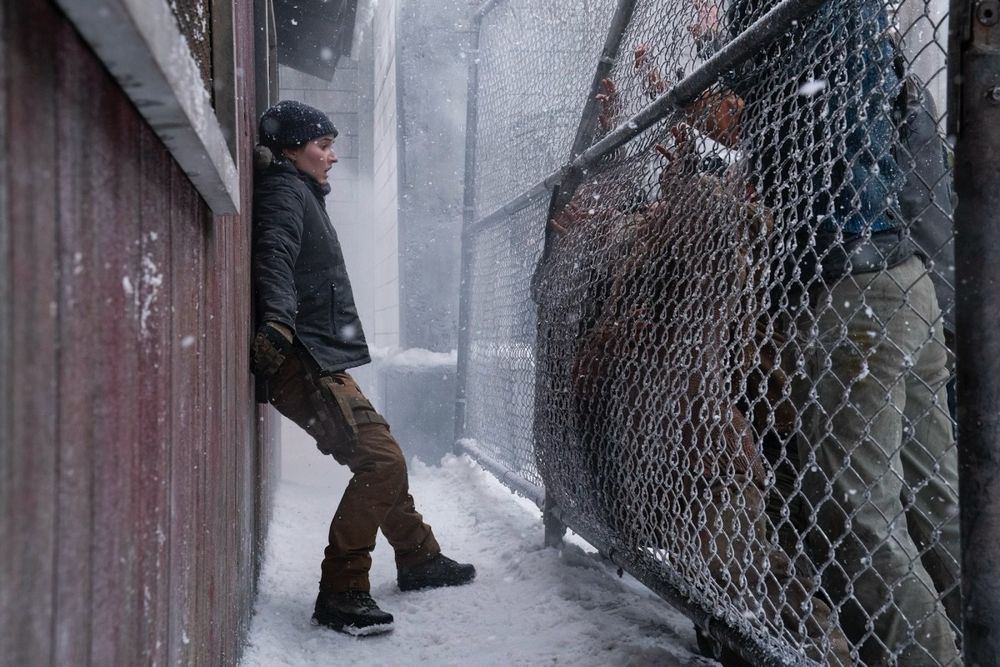 The Last Of Us Season 2