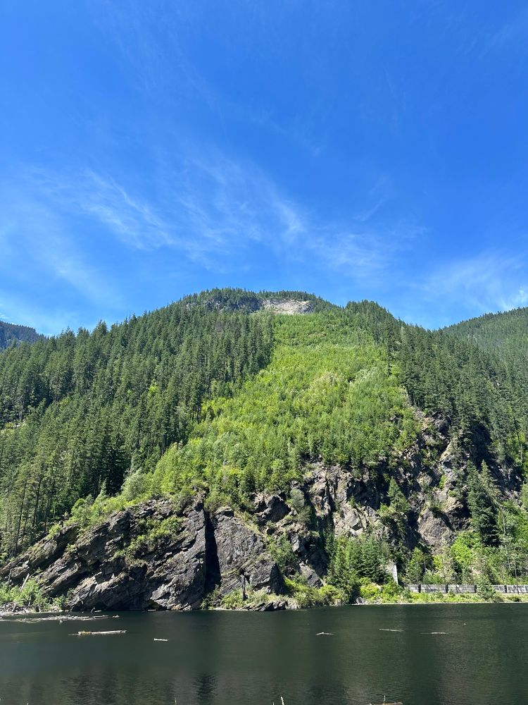 A mountain covered in trees with a lake at its base