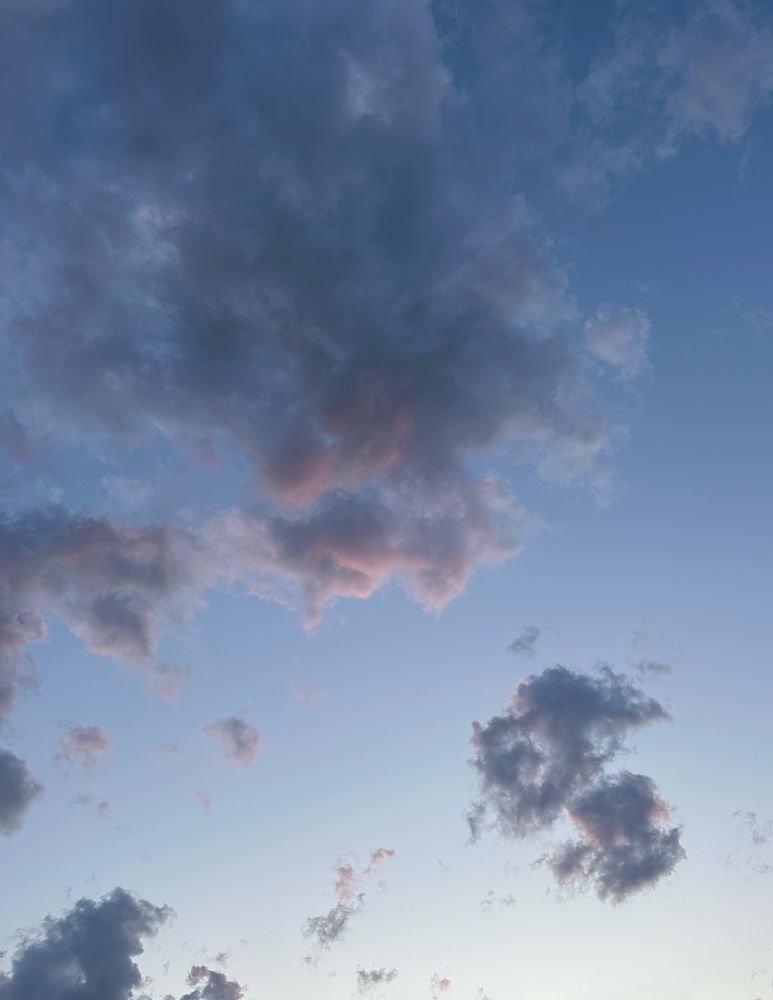 An evening sky with fluffy white clouds tipped with pink. 