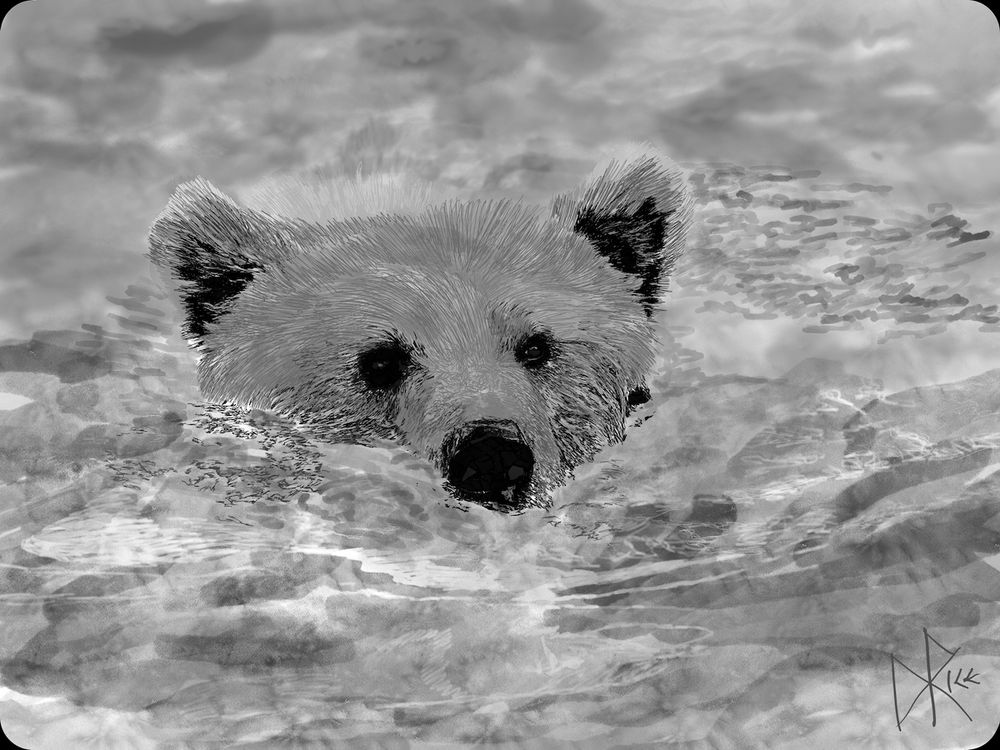 A bear with half of its head above water, the remainder of its body below the surface, swimming from one bank to the other. Sketch art by Don Rice.