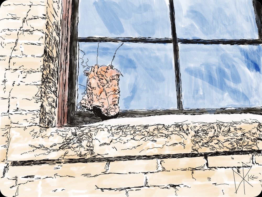 Snow on a Window Ledge
#pinkinsulation #temporaryrepair #brokenglass #prairiesandstone
A wee bit of snow builds up by a broken window with pink insulation stuffed into the broken pane. Sketch art by Don Rice.