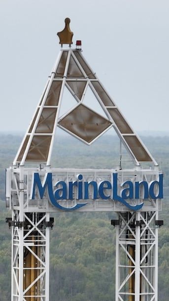 Marineland says it needs money from Ottawa or its belugas will be euthanized - Israel News Beep