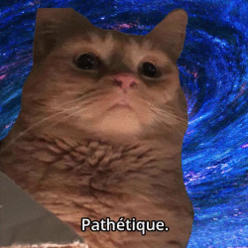 a cat with the word pathetique written below it