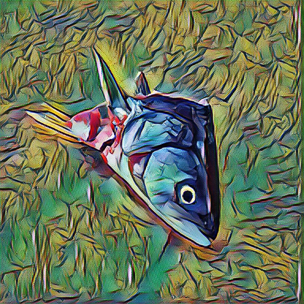 Abstract Fish Head