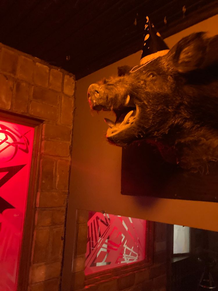 Is this the visually impaired pig from which the venue took its name? 