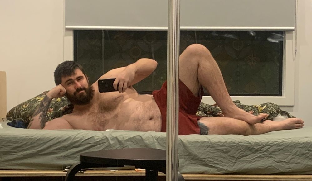 Slutty bear reclining leisurely 