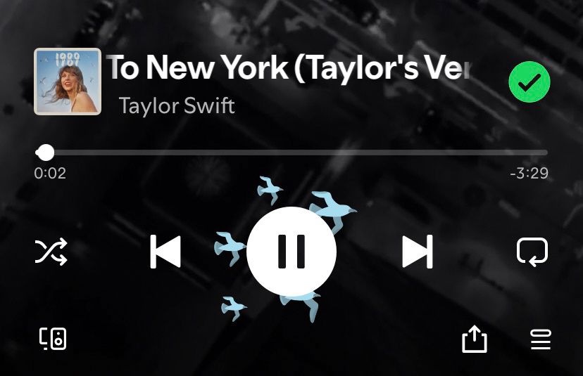 birds around the play button