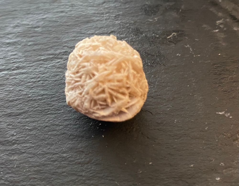 A weird looking pale coloured rock. Could be coral,  but looks like a coconut truffle. Photographed against grey slate.