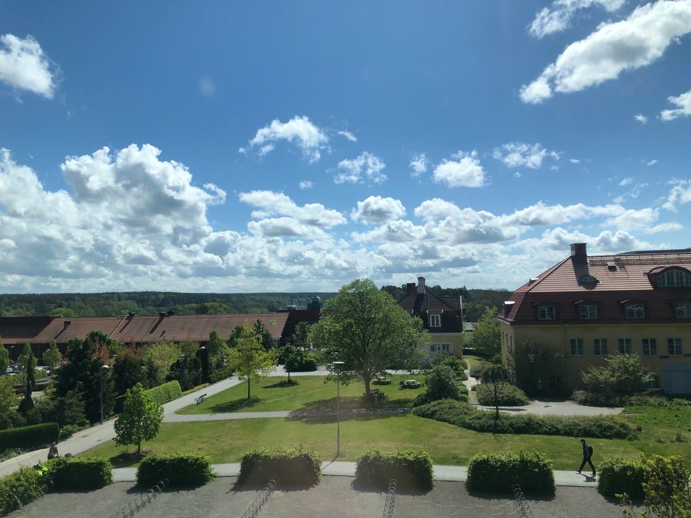 view from office window showing greenery and blue sky