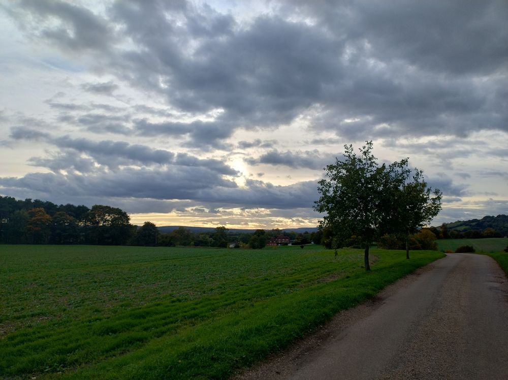 To the right a lane leading into the distance. To the left a field, green with a new crop just starting to grow. Two small trees ahead stand on the bank between the road and field, there are more trees beyond on the horizon to left and right. Grey clouds spread across the blue grey sky which is turning yellow towards the horizon with the low sun which is behind a small bank of cloud.