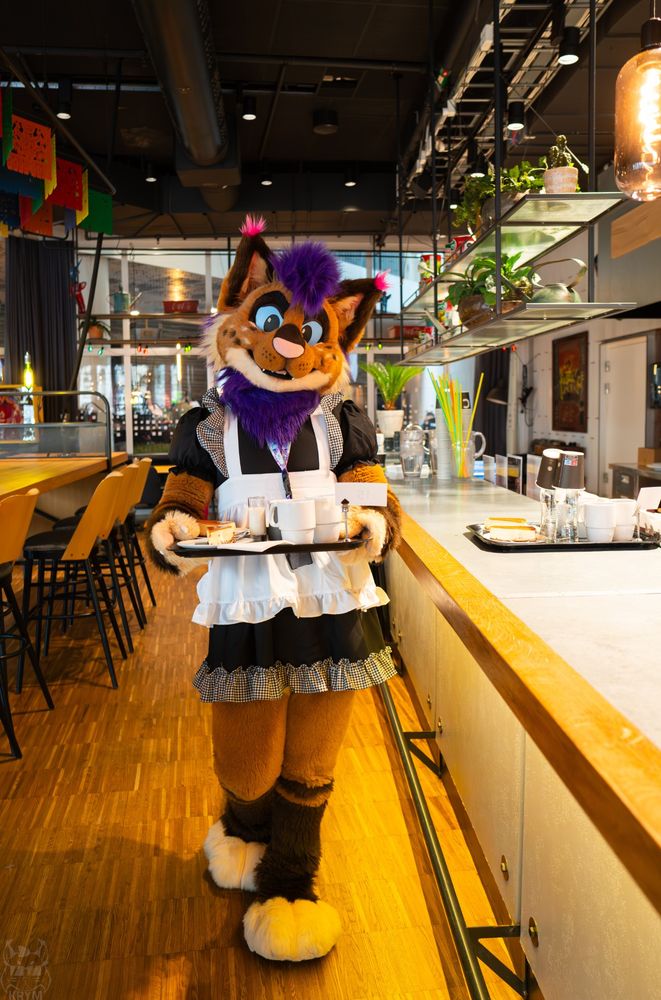 Strobes on shift at the fursuit maid cafe, posing quickly whilst walking with a tray full of food (that they definitely didn't steal from) to customers.