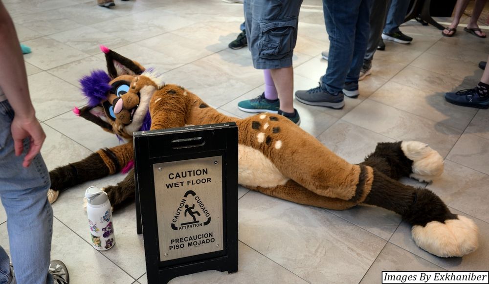 Strobes, ignoring a wet floor sign as he rolls on the floor.