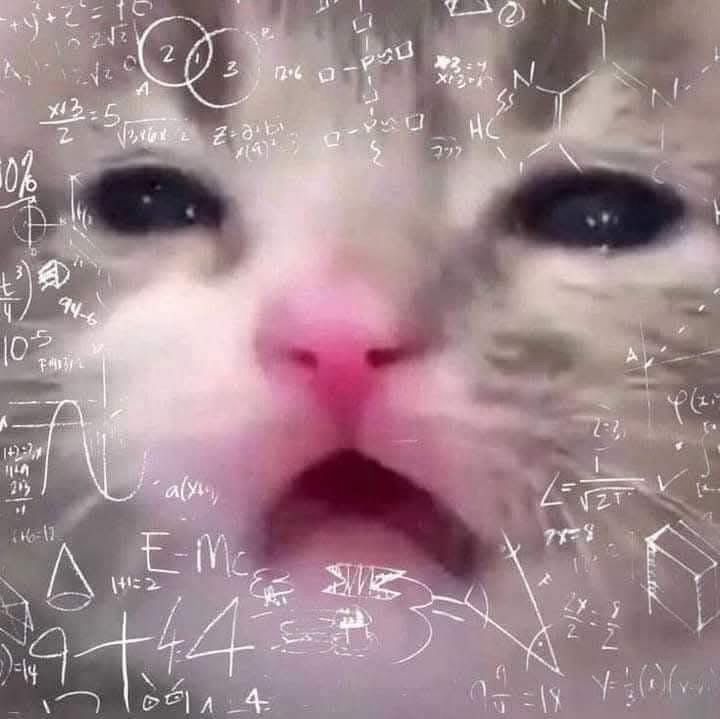 A blurry close-up of a grey kitten’s face, with squited eyes and mouth hanging open, looking confused, with mathematical equations and such around them.