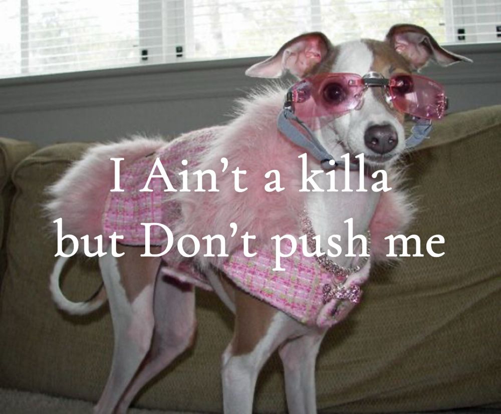 A skinny, small dog (maybe an Italian greyhound) standing on a couch and looking at the camera, wearing a pink ”jacket” with pink fur and some sparkles and pink sunglasses. The dog is white and light brown. The white text on the picture says ”I Ain’t a killa but Don’t push me” which I’m assuming might be a nod to the lyrics in DENIAL IS A RIVER by Doechii.