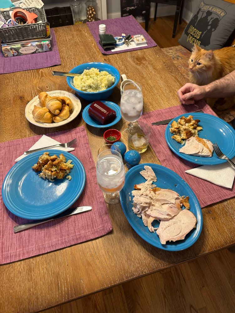 Thanksgiving table set on pretty blue dishes and purple placemats: turkey, stuffing, mashed potatoes, gravy, rolls, cranberry sauce (the awesome kind from the can), wine for me and an old-fashioned for Jay, broccoli offscreen, and a begging orange cat who wants even more turkey!!! 