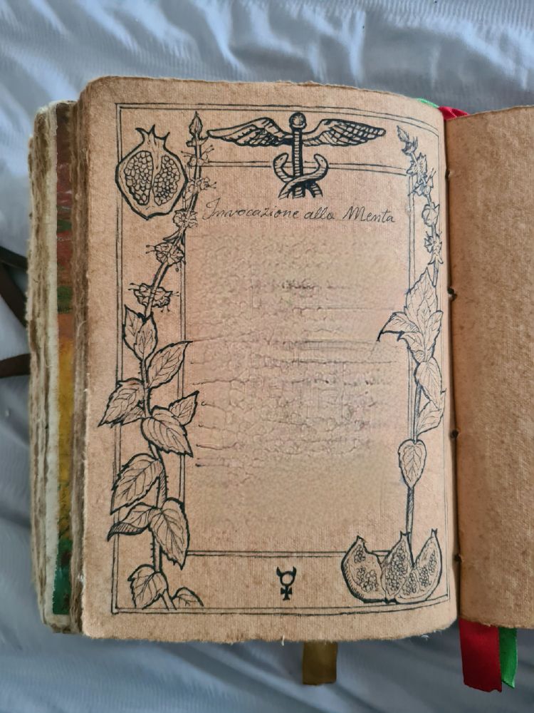Page of an open grimoire with an illustration depicting two sprigs of mint, a caduceus at the top center, and pomegranates in the top left and bottom right