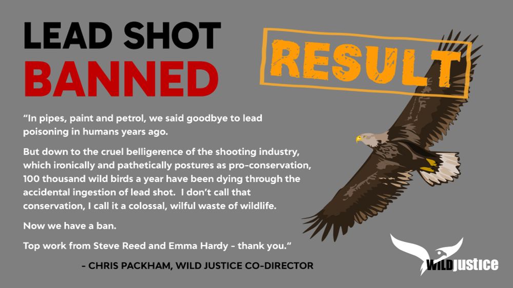 Quote from Chris Packham: “In pipes, paint and petrol, we said goodbye to lead poisoning in humans years ago. But down to the cruel belligerence of the shooting industry, which ironically and pathetically postures as pro-conservation, 100 thousand wild birds a year have been dying through the accidental ingestion of lead shot. I don’t call that conservation, I call it a colossal, wilful waste of wildlife. Top work from Steve Reed and Emma Hardy - thank you.”