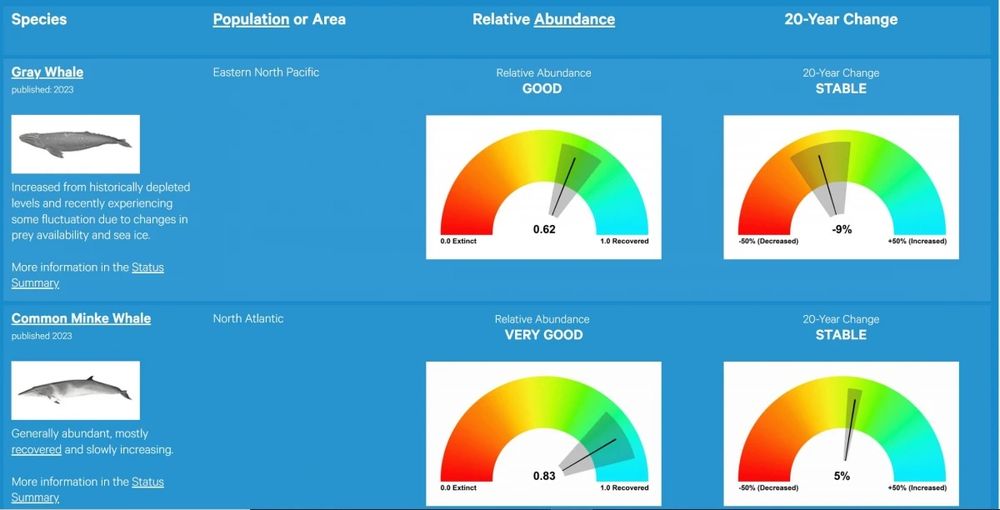 A picture of a webpage detailing the current status of whale stocks. The image shows a dashboard with dials that indicate the relative abundance of the whale population and its trend over the last 20 years.
