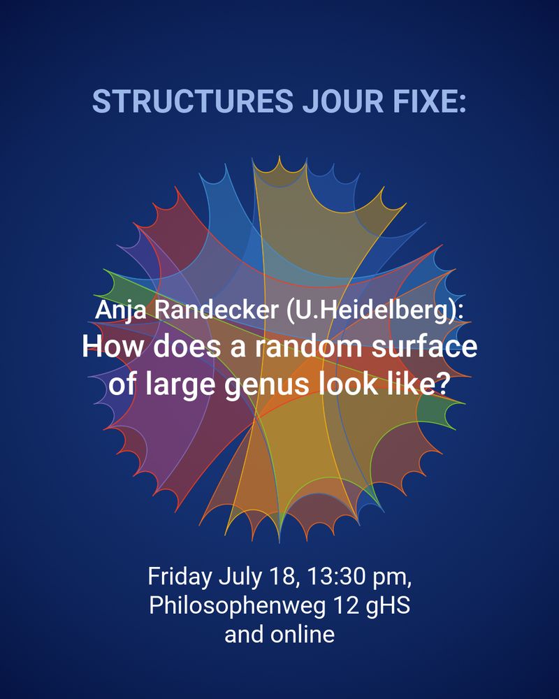 STRUCTURES Jour Fixe continues this Friday with Anja Randecker (U. Heidelberg) talking about: “How does a random surface of large genus look like?”