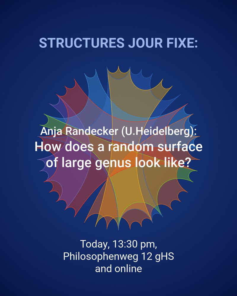 Reminder: STRUCTURES Jour Fixe Today!
Join us today at 13:30 for Anja Randecker’s talk:
“How does a random surface of large genus look like?”