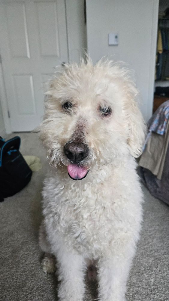 Patiently waiting for flavors! 🍽