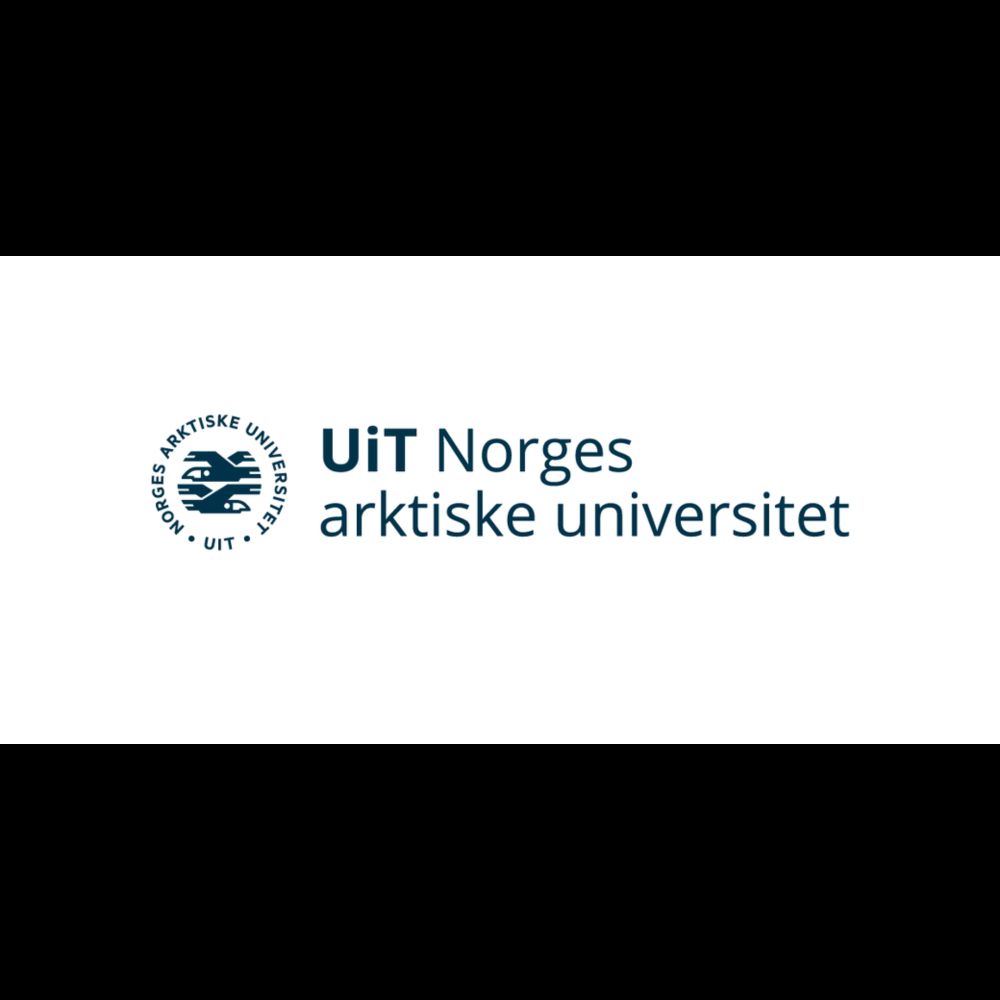 PhD Fellow in Neurocognition and Multilingualism (255173) | UiT The Arctic University of Norway