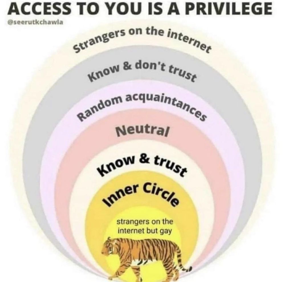 "Access to you is a privilege"
A series of circles within circles the outermost one being labeled "Strangers in the Internet"
Then "Know & don't trust" "Random acquaintances" "Neutral " "Know & trust" "Inner Circle" and finally "Stranger on the Internet but gay" 🐅