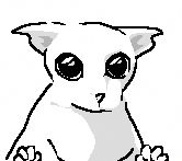 artist's depiction of the aforementioned hairless cat, staring towards the fourth wall with big ol' eyes