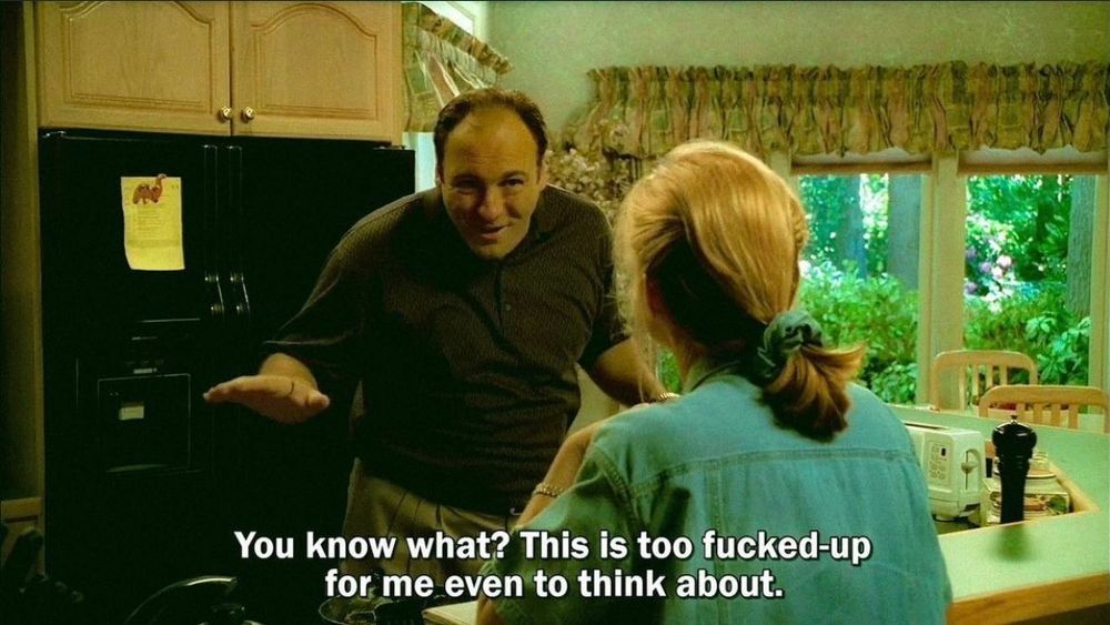 Tony Soprano telling Carmela: You know what? This is too fucked up for me to even think about.