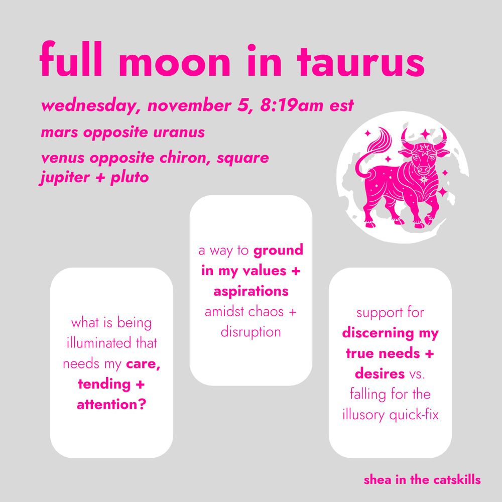 a 3-card tarot spread for the full moon in taurus
wednesday, november 5, 8:19am est
mars opposite uranus
venus opposite chiron, square jupiter + pluto
1. what is being illuminated that needs my care, tending and attention?
2. a way to ground in my values and aspirations amidst chaos and disruption
3. support for discerning my true needs and desires versus falling for the illusory quick-fix