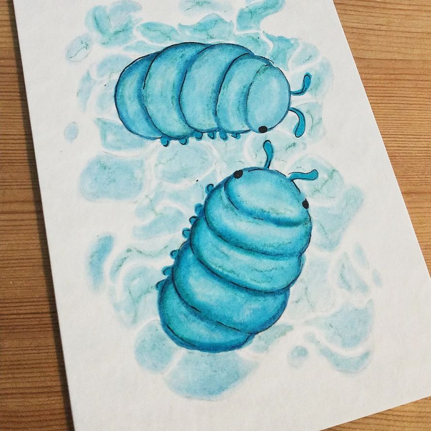 A picture of a drawing of two cartoony blue isopods, facing each other. Around them are slight water surface effects. They are drawn in a water color / aquarel ish style, with the outlines and eyes of the isopods done with blank ink. 