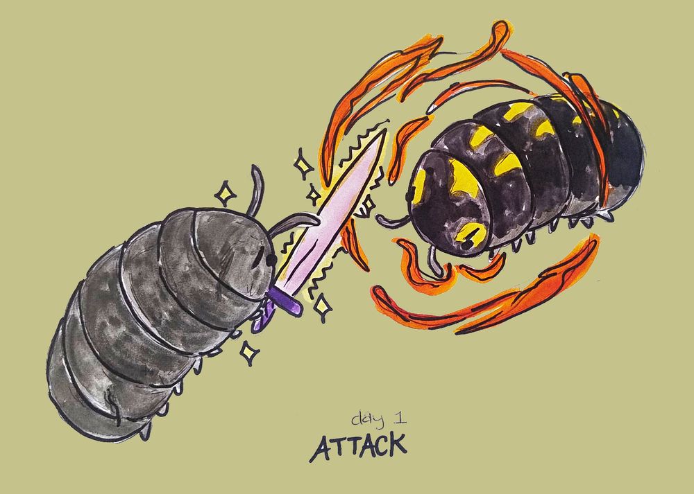A cartoony rendition of two isopods done with brush pens and sharpie for the outline. The brush strokes are a bit messy and clearly visible. The isopod on the left is grey (armadillidium vulgare) and wields a sword that sparkles with holy magic. The isopod on the right is black with yellow spots (armadillidium gestroi) and is casting a fiery magical spell. They are facing each other and looking quite vicious (at least as vicious as cute cartoony isopods can). 
