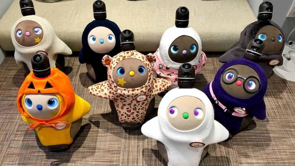 A photograph of a collection of 'love robots', or LOVOTS, short cartoon-like figures with round bodies with big round eyes, looking up at the camera/viewer. 